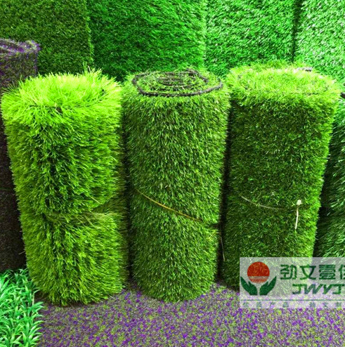  奥格斯堡启用全新草皮技术，获联盟好评  